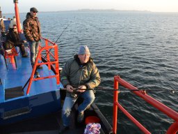 Competities HSV Alfheim